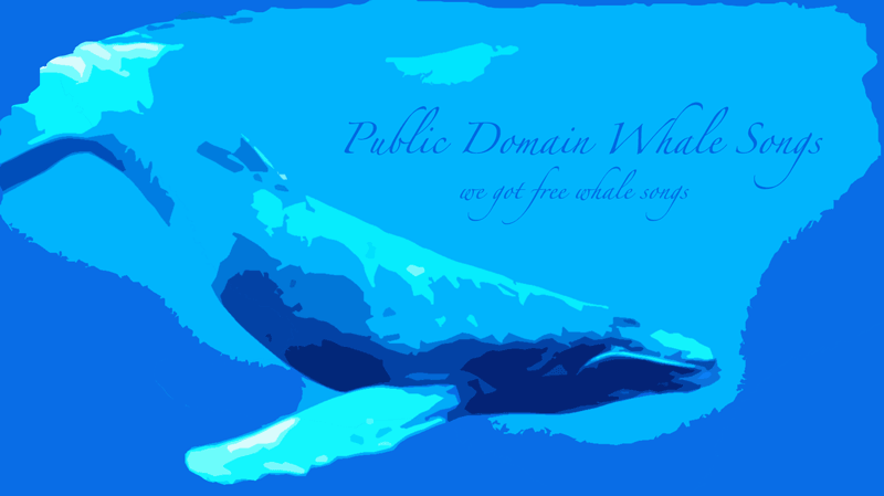 Public Domain Whale Songs.